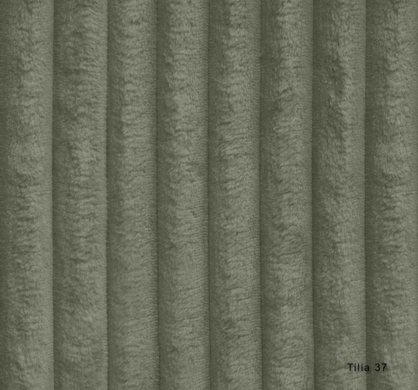 Tilia 37