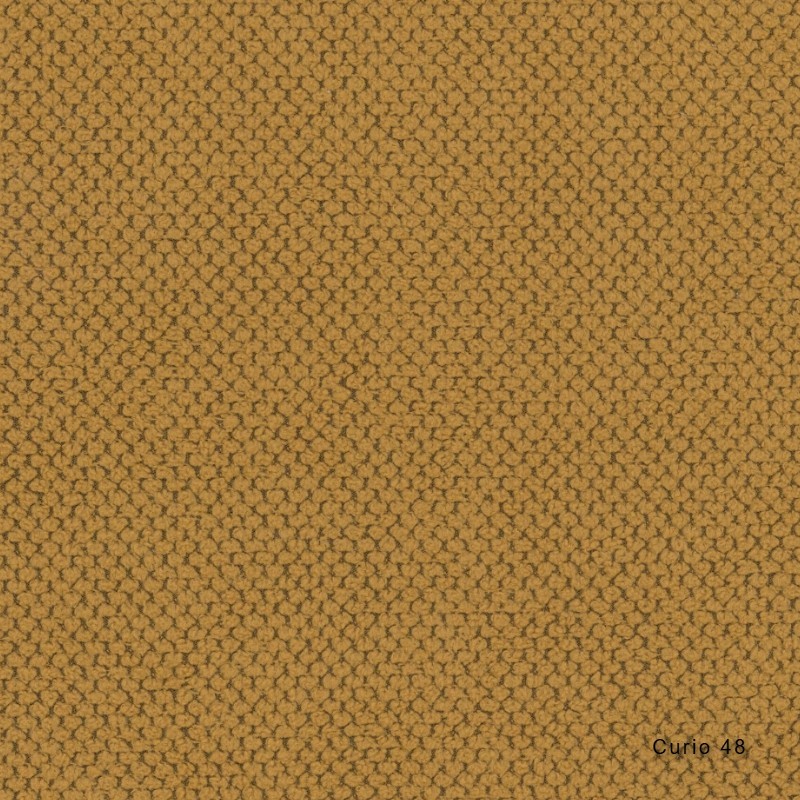 Curio 48